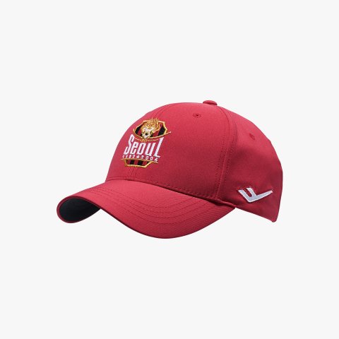 2025 FC서울 어센틱 볼 캡