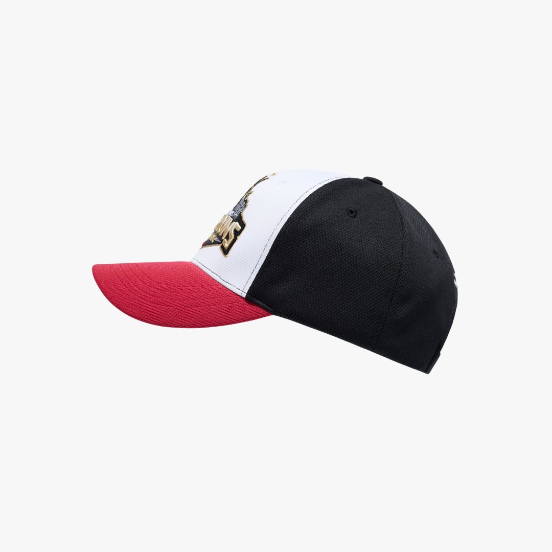 2025 LG트윈스 한국시리즈 우승모자